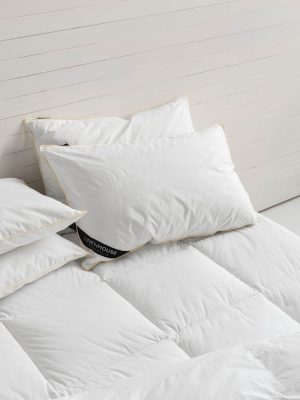 Exceed Pillow Inner