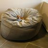 Luxury Beanbag Medium Various Colours
