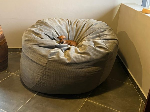 Luxury Beanbag Medium Various Colours