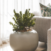 Arizona Planter