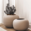 Arizona Planter