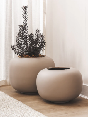 Arizona Planter