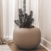 Arizona Planter