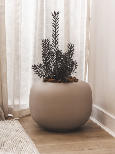 Arizona Planter