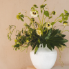 Cascade Planter