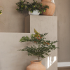 Cascade Planter