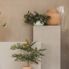 Cascade Planter