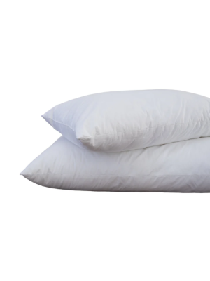 Haven Pillow Inner Set of 2