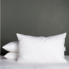 Luxury Duck Feather Pillow Inner Set of 2