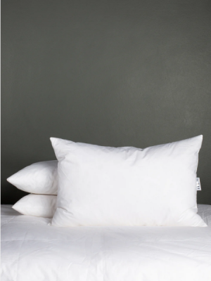 Luxury Duck Feather Pillow Inner Set of 2