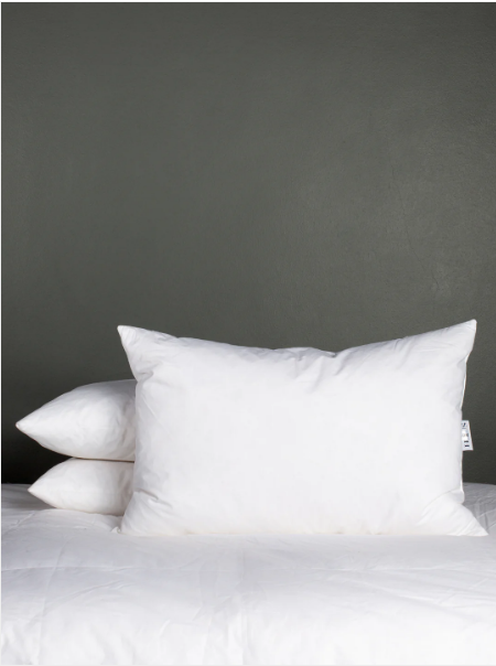 Luxury Duck Feather Pillow Inner Set of 2