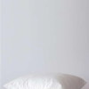 Luxury Duck Feather Pillow Inner Set of 2