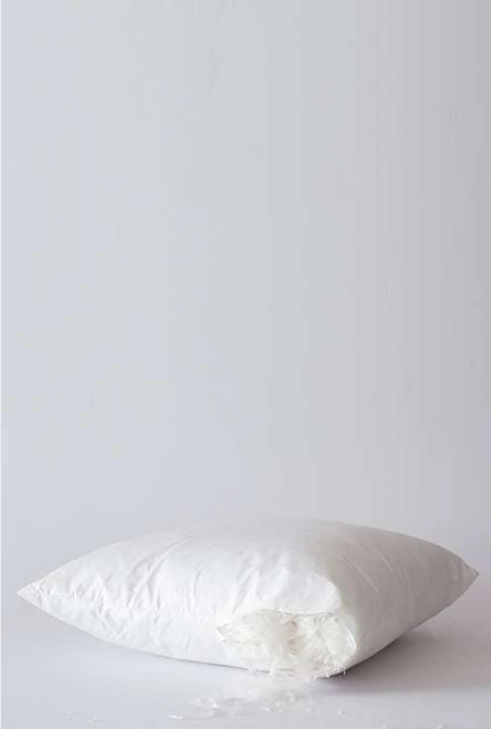 Luxury Duck Feather Pillow Inner Set of 2