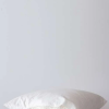 Luxury Duck Feather Pillow Inner Set of 2