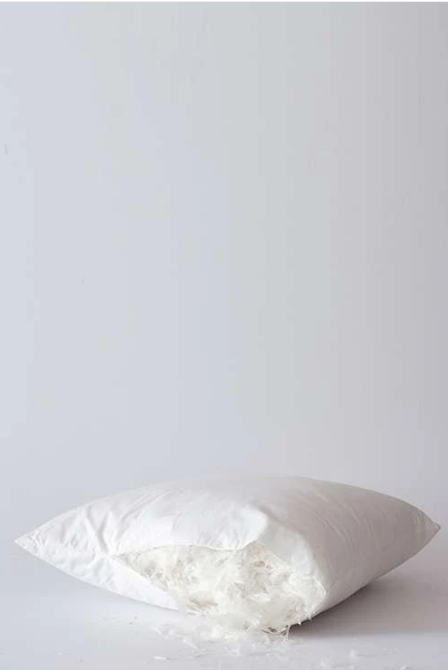 Luxury Duck Feather Pillow Inner Set of 2