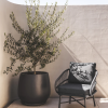 Lolita Occasional Chair