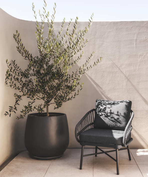 Lolita Occasional Chair