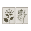 Blueprint Leaves Olive Set of 2