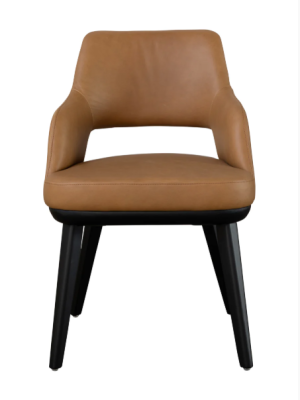 Churchill Amber Dining Chair