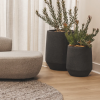Crest Planter