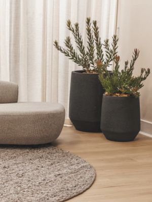Crest Planter
