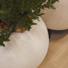Cyclo Planter Various