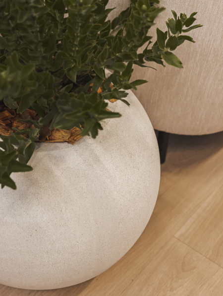Cyclo Planter Various