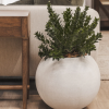 Cyclo Planter Various