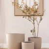 Gobi Planter Various