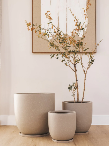 Gobi Planter Various