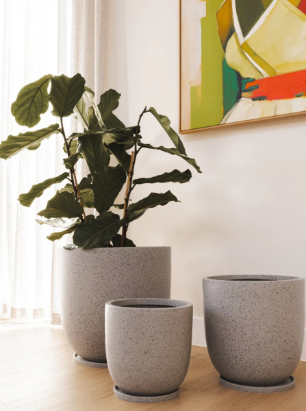 Gobi Planter Various