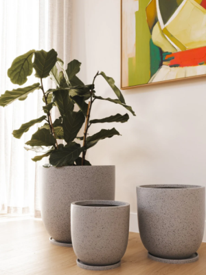 Gobi Planter Various