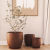 Gobi Planter Various