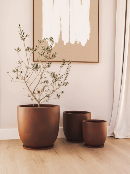 Gobi Planter Various