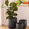 Gobi Planter Various