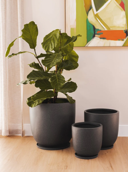 Gobi Planter Various