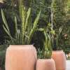Halong Planter Various