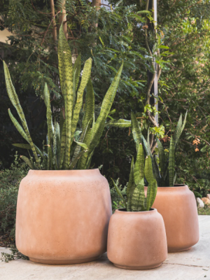 Halong Planter Various