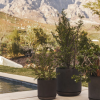 Hue Planter Various
