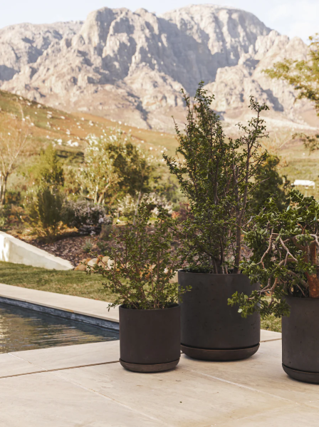 Hue Planter Various
