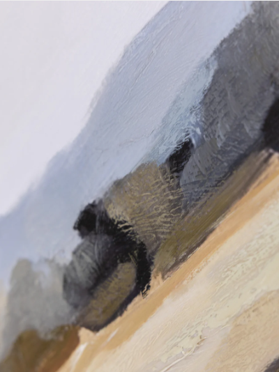 Among The Grass Savannah