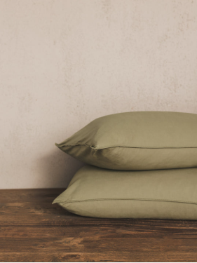 Cotton Wash Aloe Pillowcase Set of 2