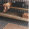 Iris Bathmats Various