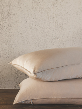 Dreamy Whisper Pillow Case Set of 2